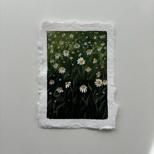 Daisy Dreams #2 - Original Painting