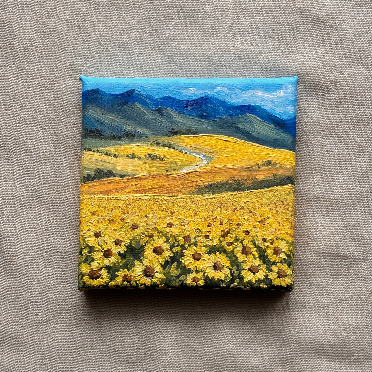 Sunflower Field in Kazakhstan
