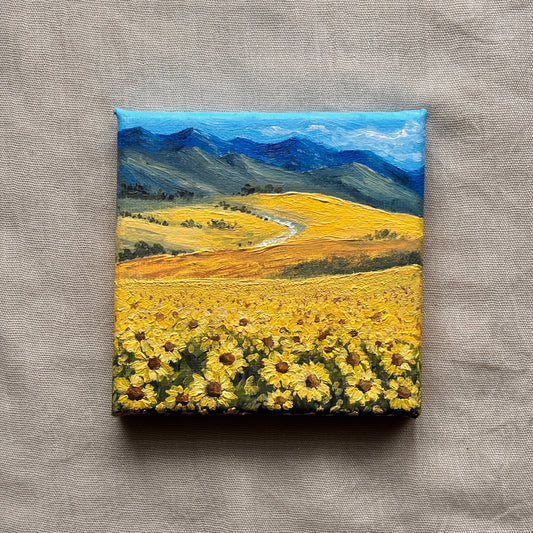 Sunflower Field in Kazakhstan